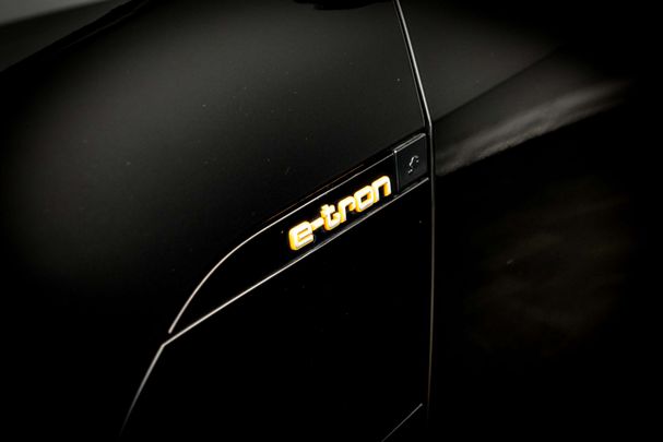 Audi e-tron 50 quattro 230 kW image number 20