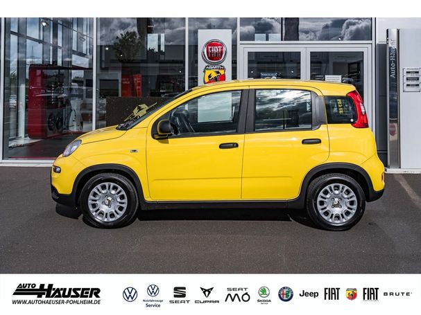 Fiat Panda 51 kW image number 4