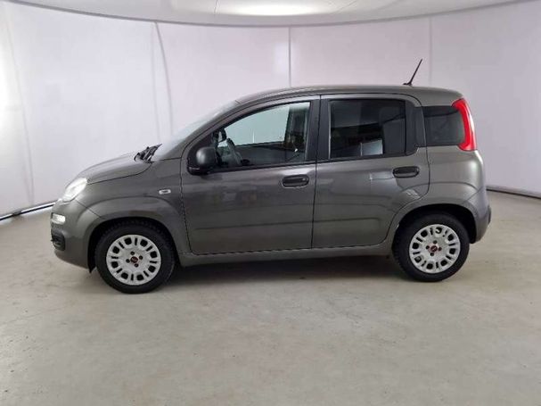 Fiat Panda 1.0 Hybrid 51 kW image number 8