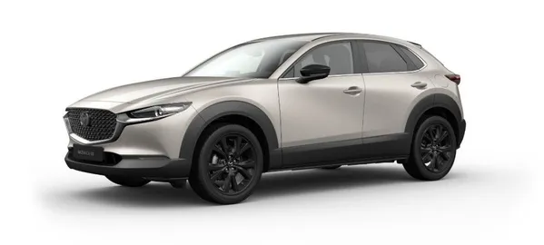 Car image 2