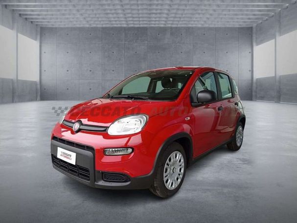 Fiat Panda 51 kW image number 1