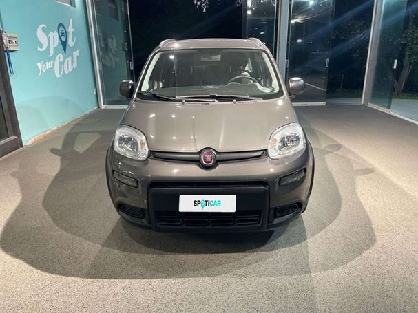 Fiat Panda 1.0 Hybrid City Life 51 kW image number 6