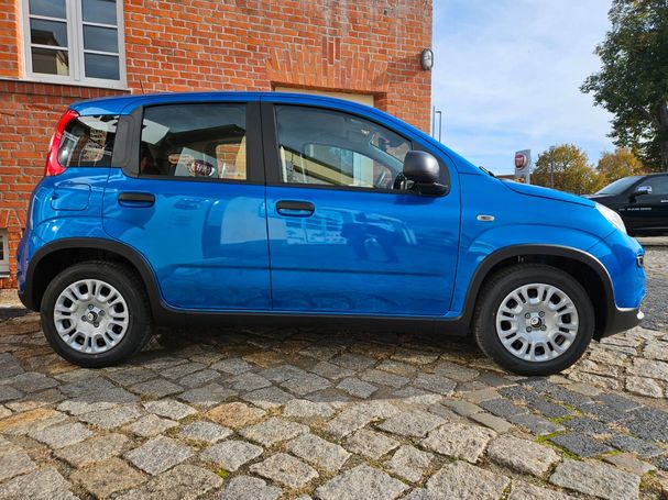 Fiat Panda 51 kW image number 4