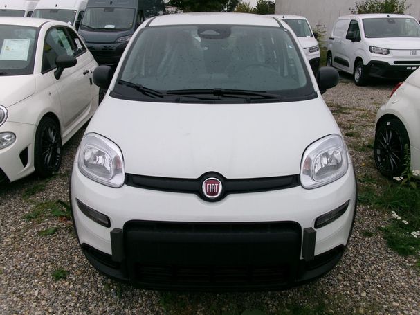 Fiat Panda 51 kW image number 4