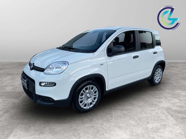 Fiat Panda 51 kW image number 1