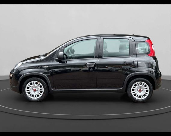 Fiat Panda 1.0 Hybrid 51 kW image number 6