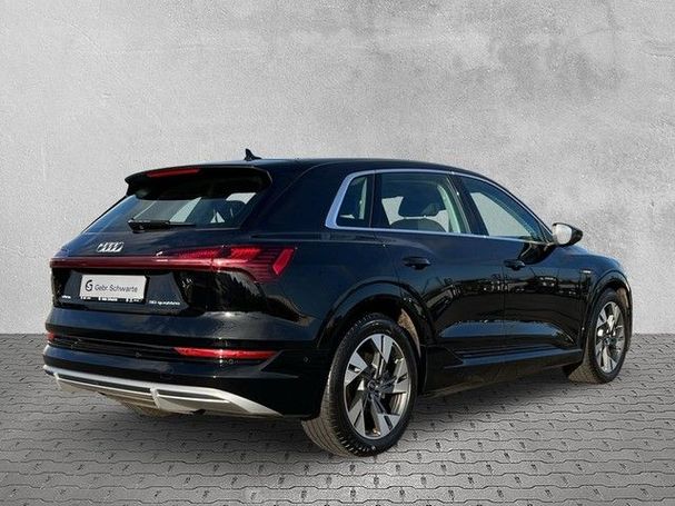 Audi e-tron quattro S-line 230 kW image number 6