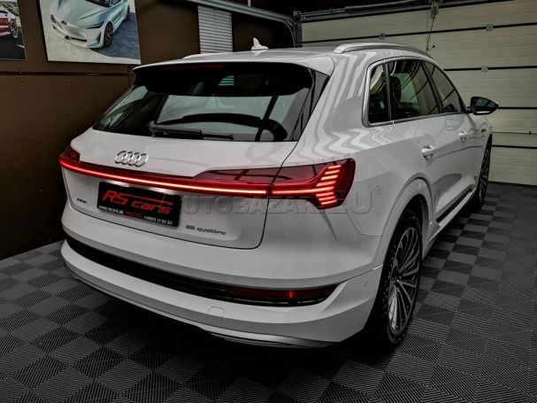 Audi e-tron 55 quattro 300 kW image number 6