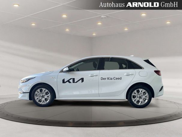 Kia Ceed 1.5 T-GDI Vision 103 kW image number 5