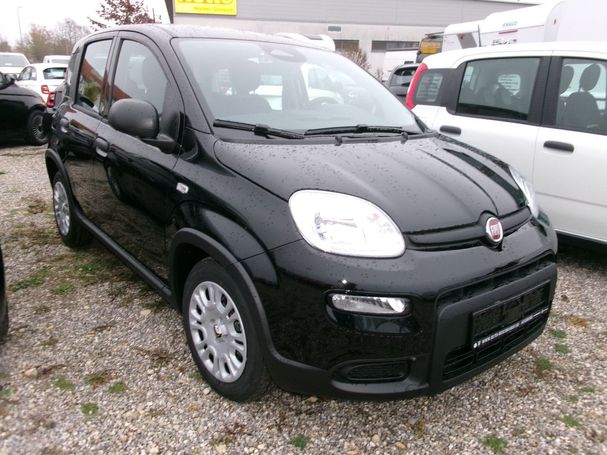 Fiat Panda 51 kW image number 2