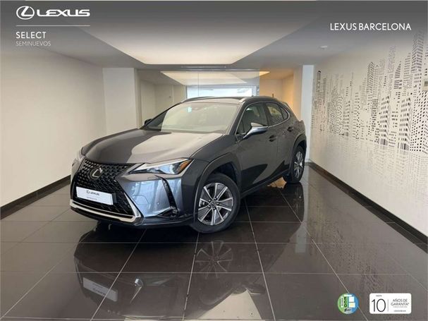 Lexus UX F 146 kW image number 1