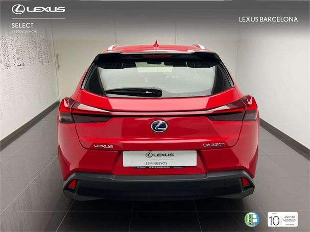 Lexus UX Business 135 kW image number 13