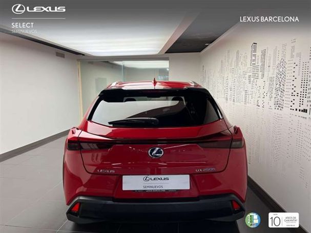 Lexus UX 250h 135 kW image number 3