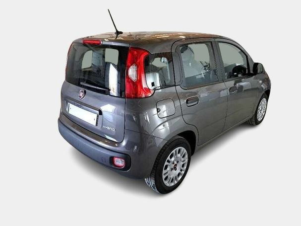 Fiat Panda 51 kW image number 5