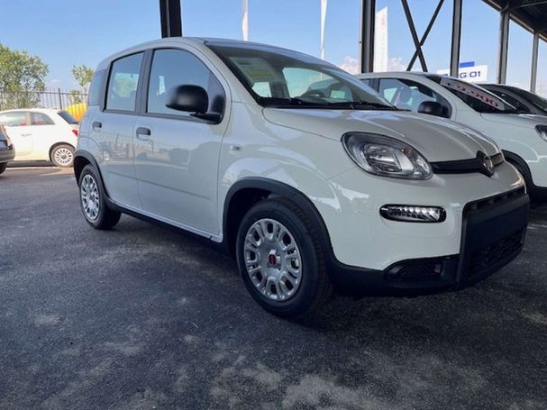 Fiat Panda 1.0 Hybrid 51 kW image number 2