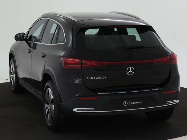 Mercedes-Benz EQA 250 140 kW image number 12