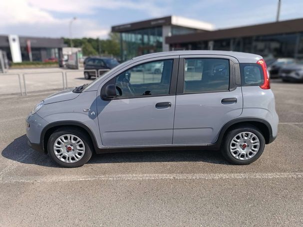 Fiat Panda 1.0 Hybrid 51 kW image number 9