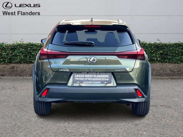 Lexus UX 250h 135 kW image number 6