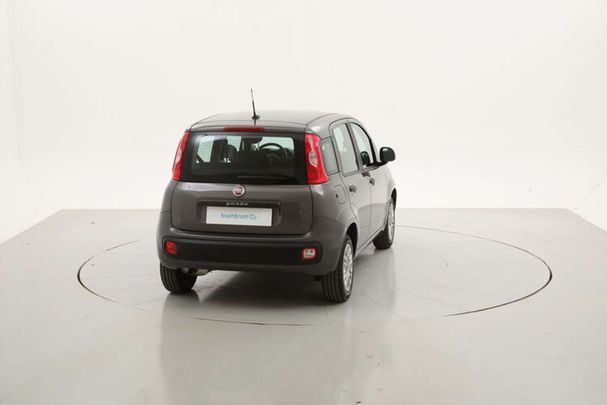 Fiat Panda 1.2 Easy 51 kW image number 6