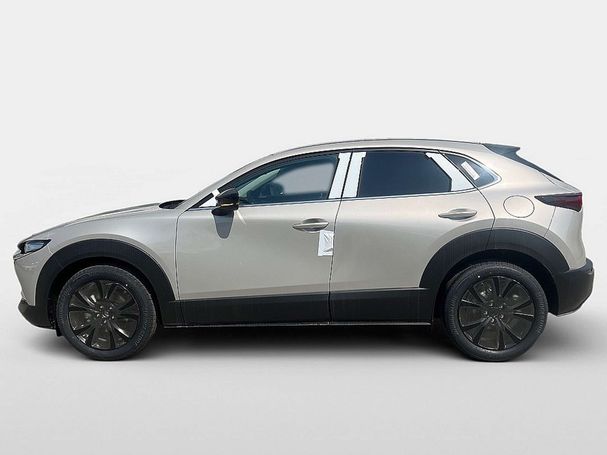 Mazda CX-30 150 Homura 110 kW image number 6