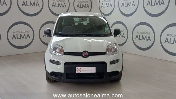 Fiat Panda 1.0 Hybrid City 51 kW image number 5