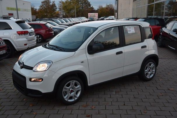 Fiat Panda 1.0 GSE Hybrid 51 kW image number 2