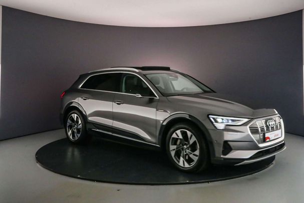 Audi e-tron 55 Advanced 300 kW image number 10