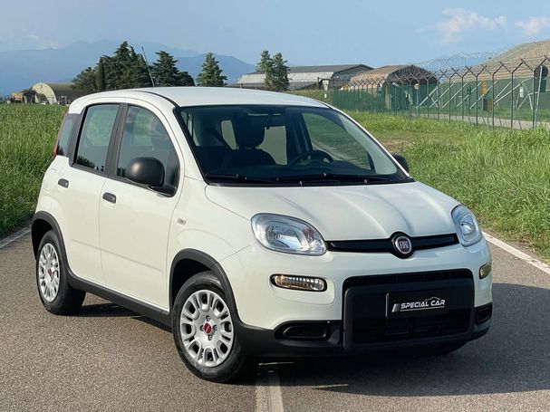 Fiat Panda 1.0 Hybrid 51 kW image number 2