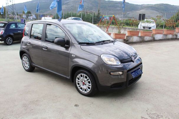 Fiat Panda 1.0 Hybrid 51 kW image number 3