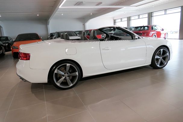 Audi S5 3.0 TFSI quattro S tronic Cabrio 245 kW image number 8