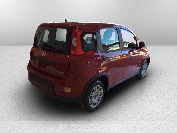 Fiat Panda 1.0 Hybrid 51 kW image number 4