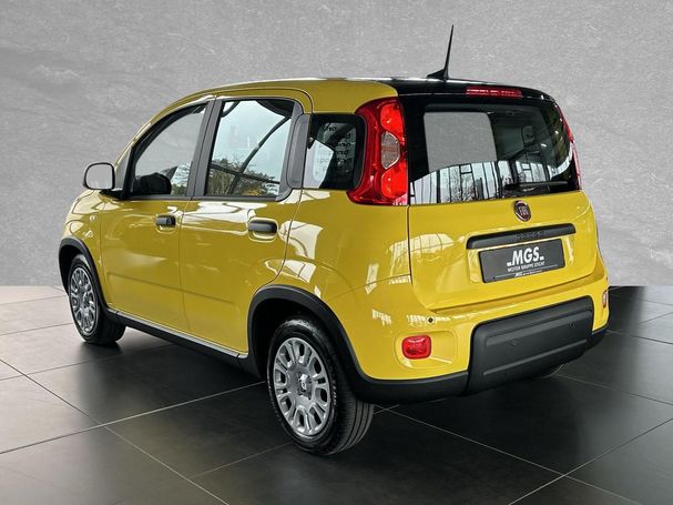 Fiat Panda 51 kW image number 3