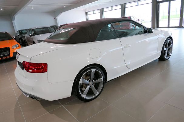 Audi S5 3.0 TFSI quattro S tronic Cabrio 245 kW image number 16