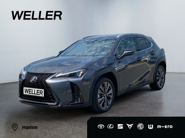 Lexus UX 300h 146 kW image number 1