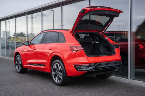 Audi e-tron 251 kW image number 10