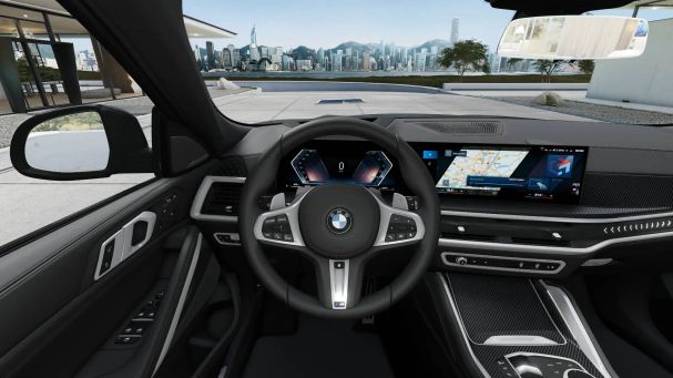 BMW X6 xDrive40i 250 kW image number 10