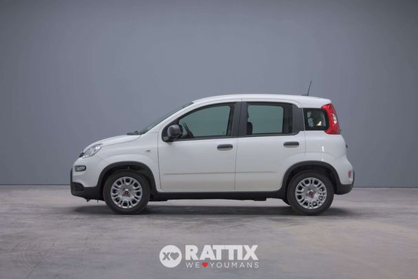 Fiat Panda 1.0 Hybrid 51 kW image number 3