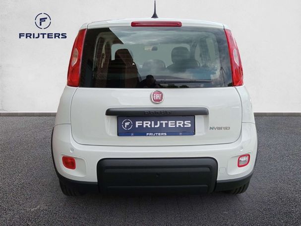 Fiat Panda 1.0 Hybrid 51 kW image number 6