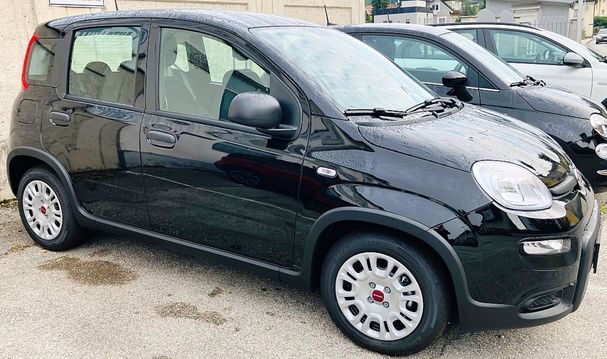 Fiat Panda Hybrid 51 kW image number 2