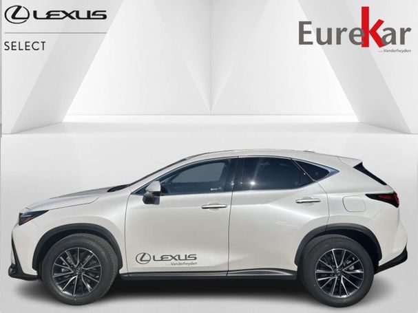 Lexus NX 350 h 179 kW image number 3