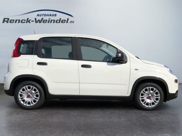 Fiat Panda 51 kW image number 6