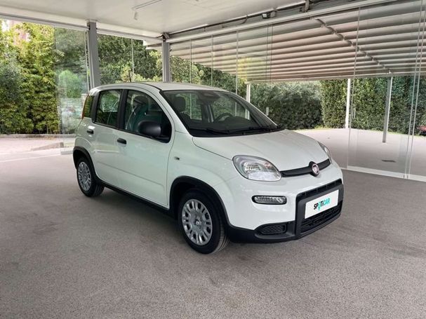 Fiat Panda 51 kW image number 2