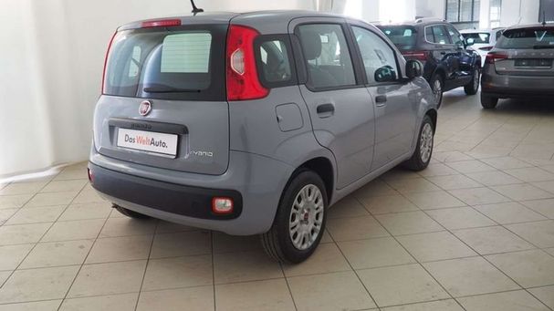 Fiat Panda 1.0 Hybrid 51 kW image number 6