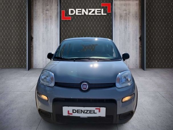 Fiat Panda Hybrid 51 kW image number 12