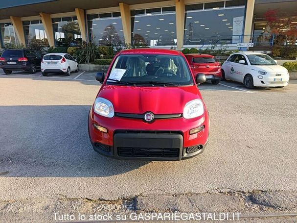 Fiat Panda 1.0 Hybrid 51 kW image number 3