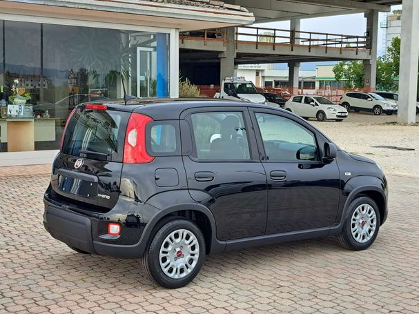 Fiat Panda Hybrid 51 kW image number 2