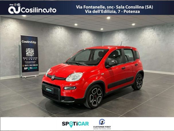 Fiat Panda 1.0 Hybrid City 51 kW image number 1