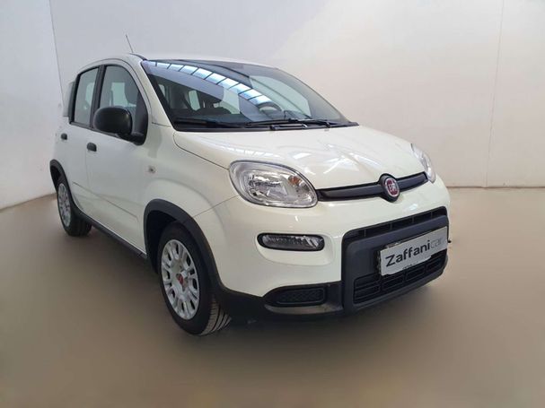 Fiat Panda 1.0 Hybrid 51 kW image number 3