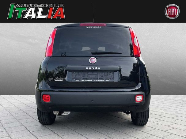 Fiat Panda 1.2 More 51 kW image number 4