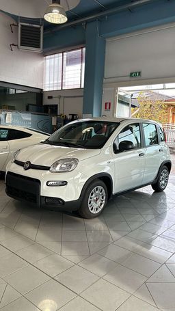 Fiat Panda 1.0 Hybrid 51 kW image number 2